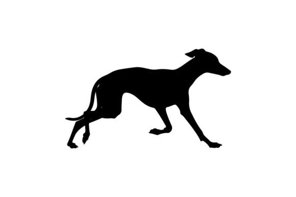 Capturing Speed: The Greyhound Dog in Motion Silhouette